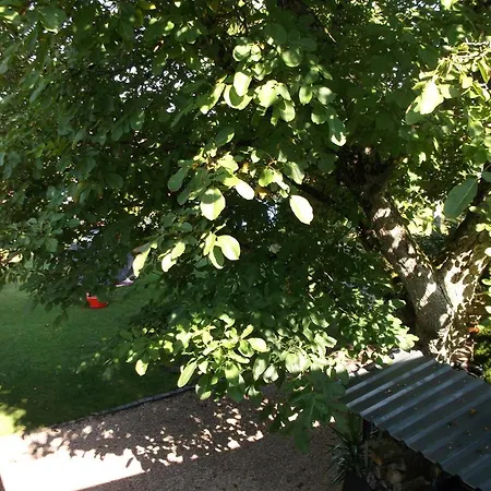 Ferienappartement Pirmasens * 皮尔马森斯